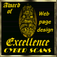 Cyber Scans Design Excellence Award